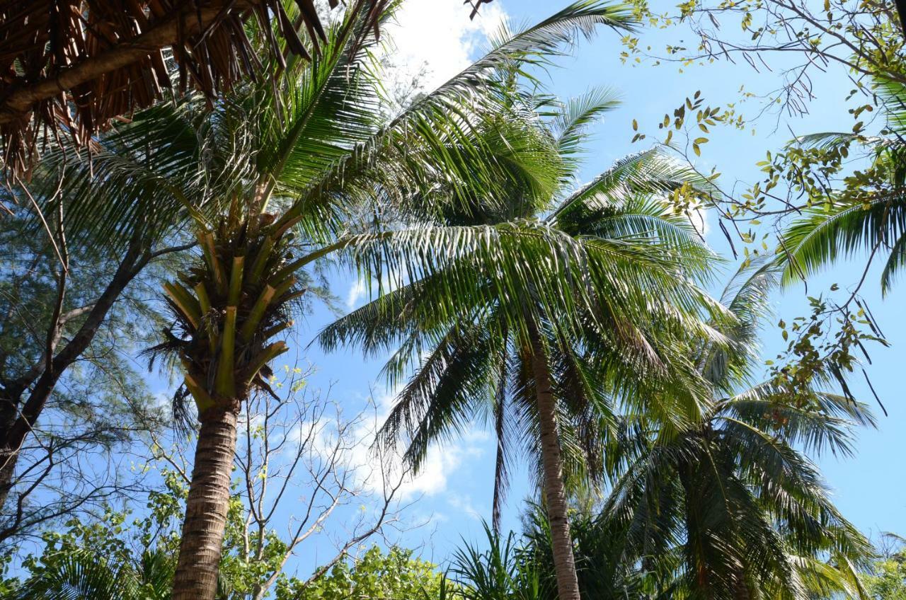 Reggae Island Private Island Hotel Koh Phayam Exterior foto